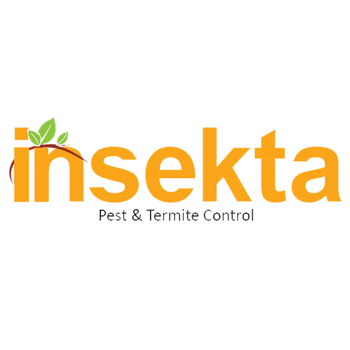 insektafokustama